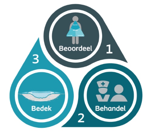 NL WSC Beoordeel Behandel Bedek